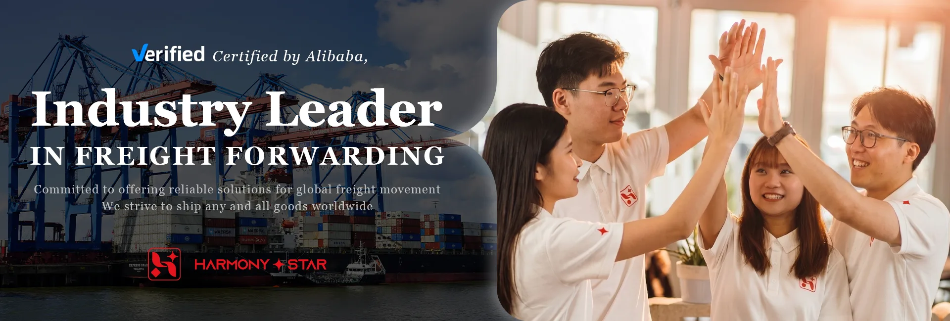 Verified by Alibaba, industry leader in freight forwarding